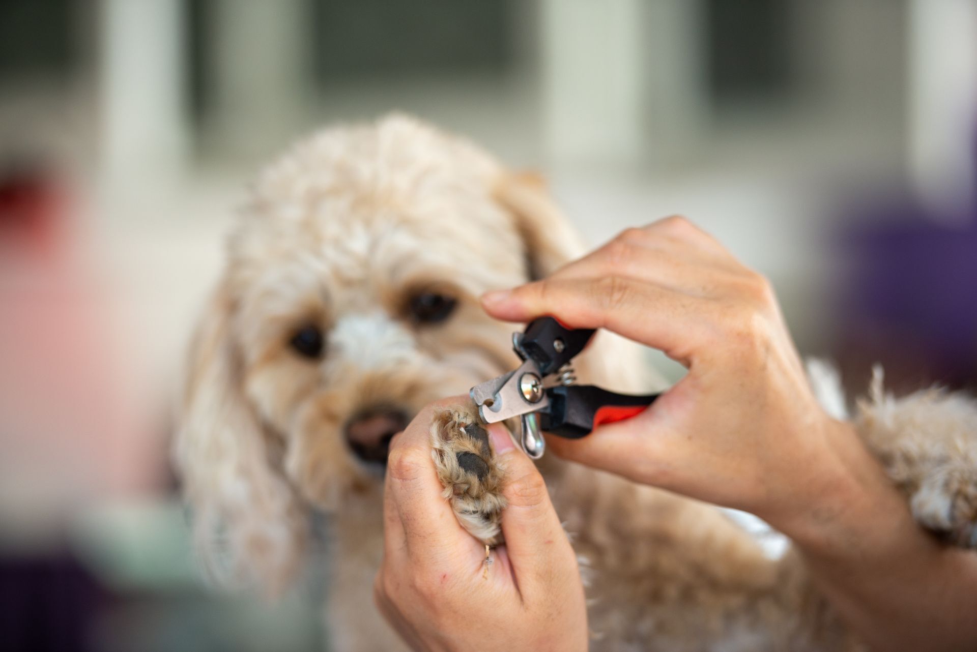 AdobeStock_309555242